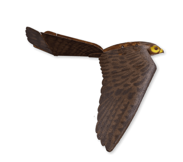 Aerium Analytics | Drone Technology Solutions - RoBird