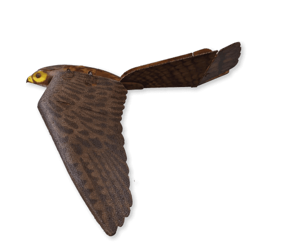 Aerium Analytics | Drone Technology Solutions - RoBird® (Wildlife Management)