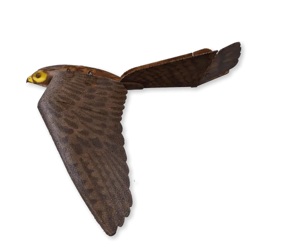 Aerium Analytics | Drone Technology Solutions - RoBird® (Wildlife Management)