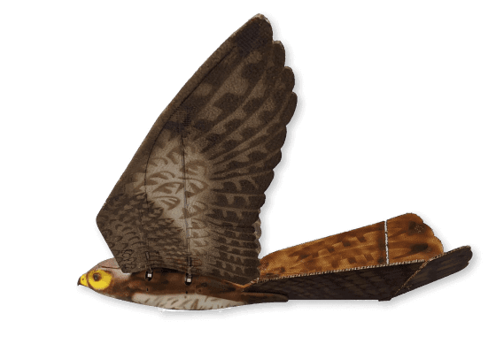 Aerium Analytics | Drone Technology Solutions - RoBird® (Wildlife Management)