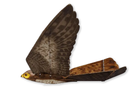 Aerium Analytics | Drone Technology Solutions - RoBird® (Wildlife Management)