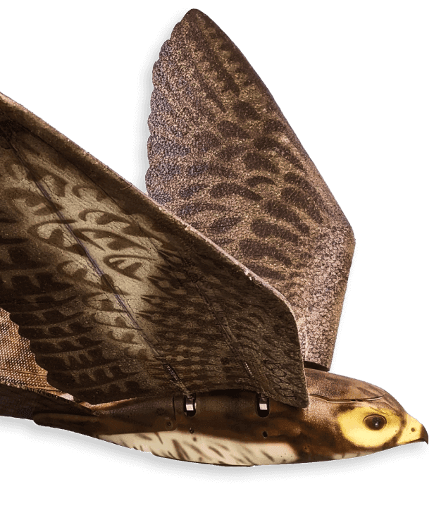 Aerium Analytics | Drone Technology Solutions - RoBird®