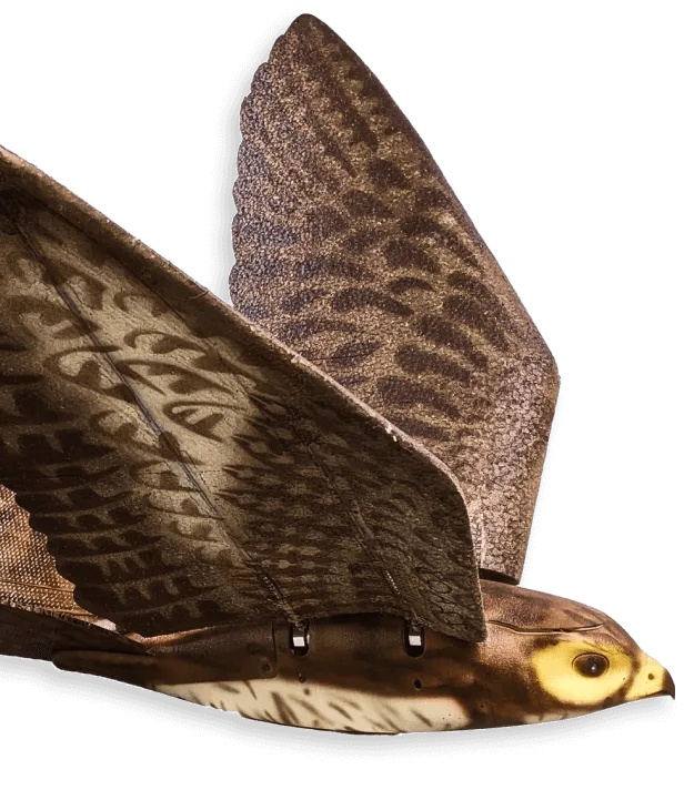Aerium Analytics | Drone Technology Solutions - RoBird®