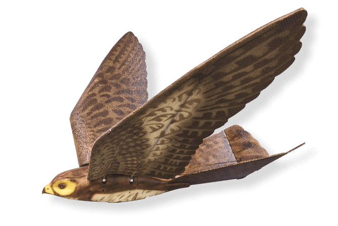 Aerium Analytics | Drone Technology Solutions - RoBird drone