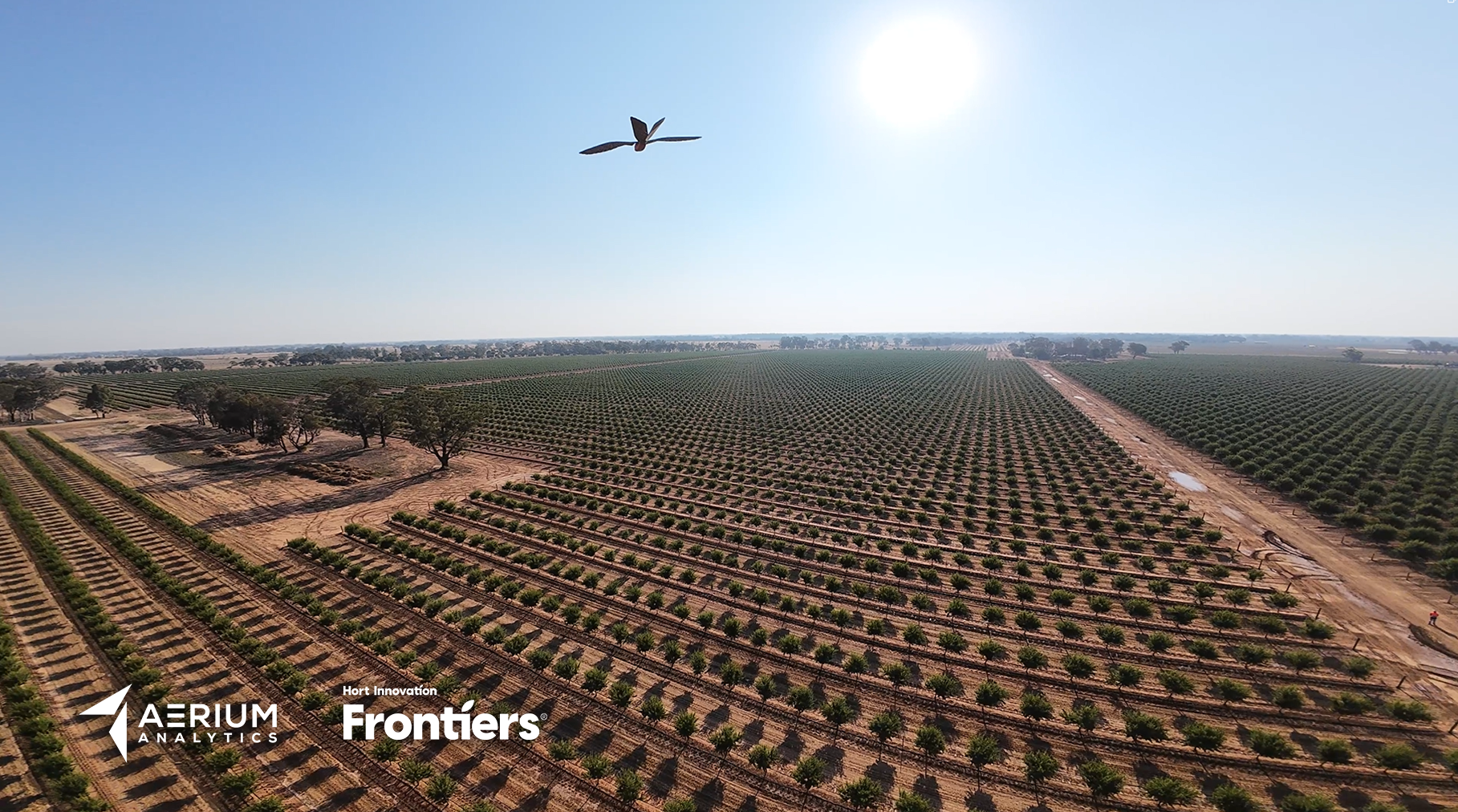 Robird Project Drone Bird Deterrent Horticulture Australia | AERIUM