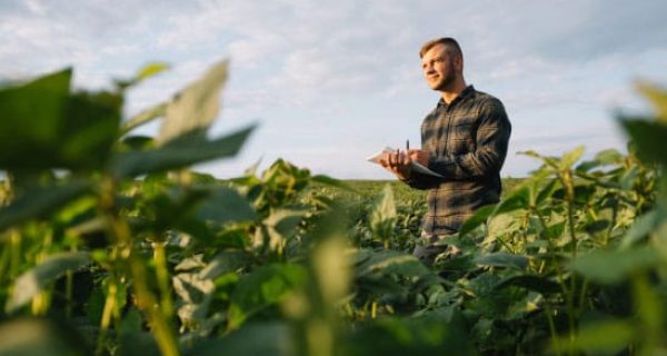 Aerium Analytics | Drone Technology Solutions - Agriculture